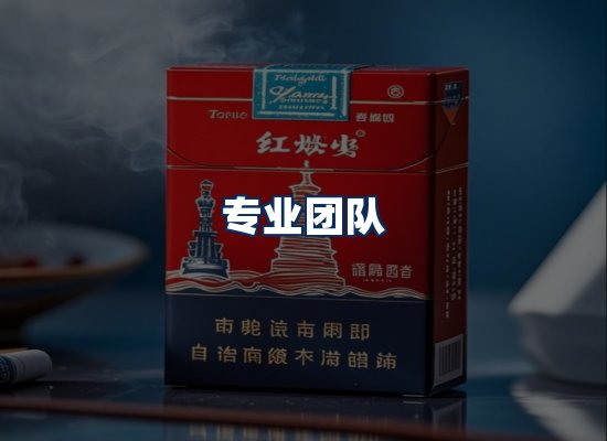专业团队